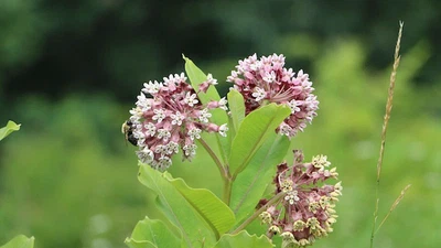 Hello World! featured image